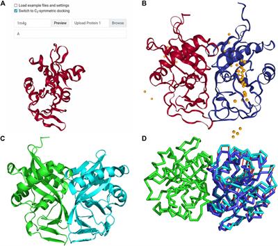 LZerD Protein-Protein Docking Webserver Enhanced With de novo Structure Prediction